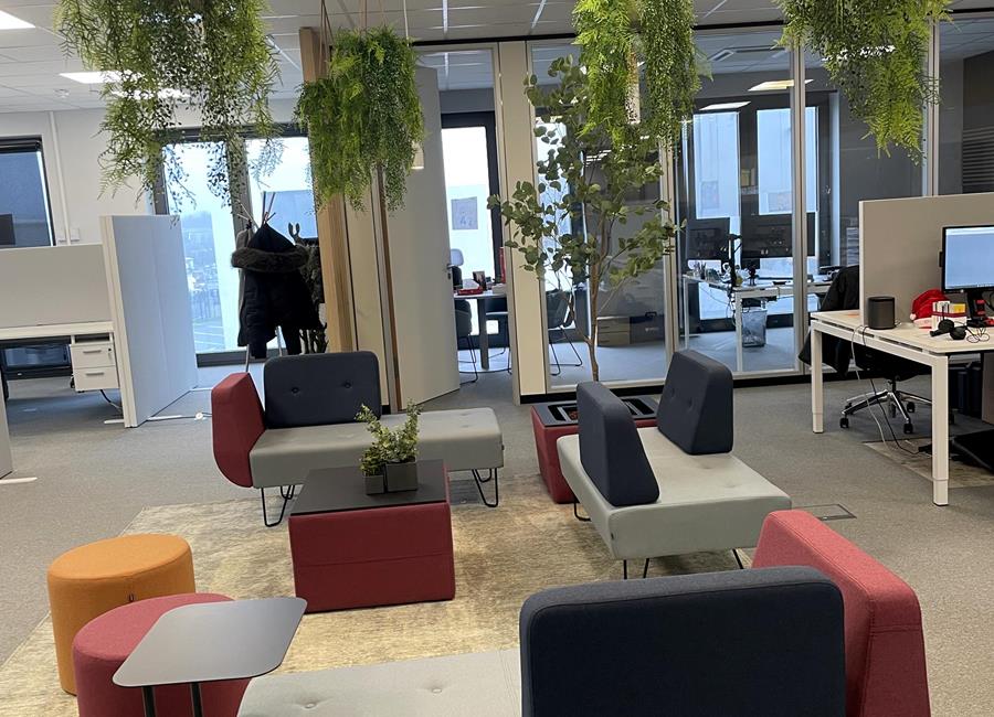 Réaménagement des bureaux de Solar Screen, un projet de transformation réussi