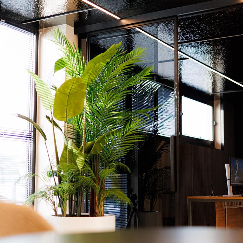 Eine junge, helle und elegante Raumgestaltung